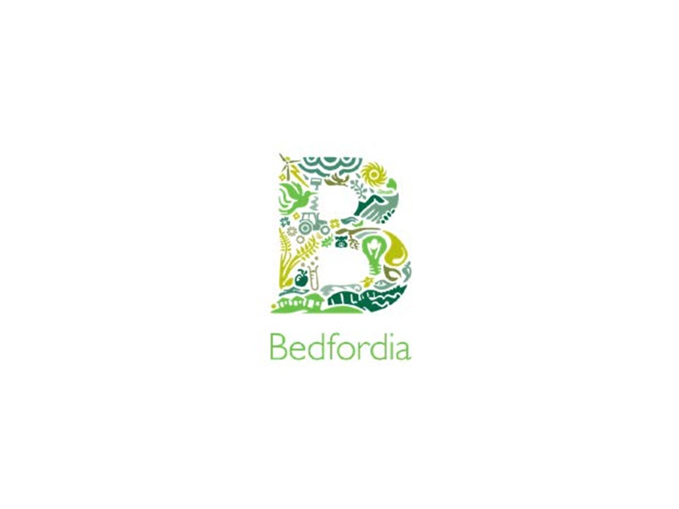 Chief Executive Officer, Bedfordia (HBZBA)